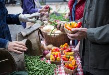 UVa Sponsored Farmers Market Accepts Plus Dollars
