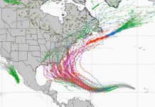 Hurricane Relief: Where Do Your Donations Go?
