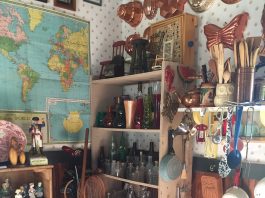 Curious to Check Out The Curiosity Shop?