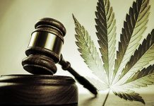 Nationwide Legalization Efforts and the UVa Focus
