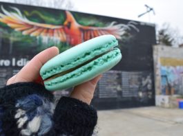 IX Art Park Hosts First Winter Farmers Market