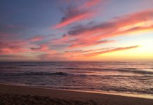 Third Year Emily Head’s Hawaiian Vacation Gone Wrong