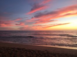 Third Year Emily Head’s Hawaiian Vacation Gone Wrong