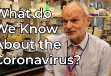 What Do We Know About the Coronavirus?