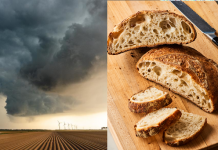 Climatologists Warn of Spike in Air Acidity After All Americans Collectively Decided to Start Making Sourdough