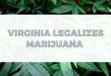 “It’s not as stigmatized as it was years back” Virginia Legalizes Marijuana