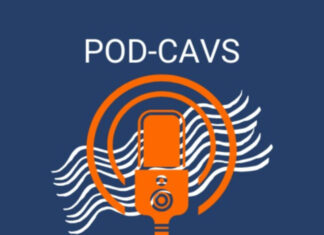 The Power of Film (Festivals) | UVA Vice Provost for the Arts Jody Kielbasa