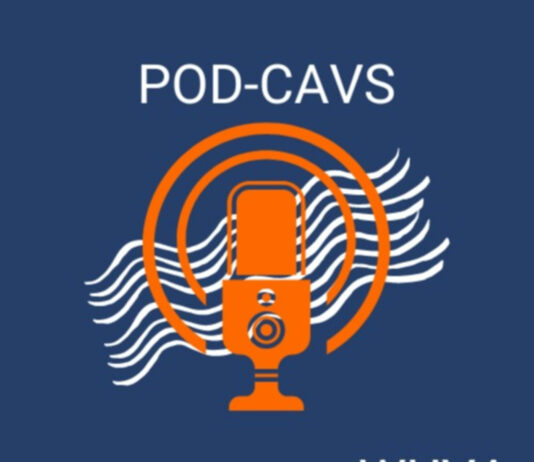 The Power of Film (Festivals) | UVA Vice Provost for the Arts Jody Kielbasa