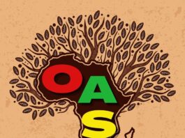 Organization of African Students | Sonia Birate and Cassandra Opoku-Mensah